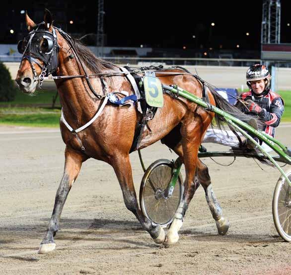 FÖRSTA START DIAMANTSTOET, FÖRSÖK 2 KLASS II, FÖRSÖK 4 JÄGERSRO ONSDAG 18 OKTOBER XPRESSBANA SOLVALLA NR 45 // 2017 PRIS 40 KR 586x553 image FÖRSTA START DIAMANTSTOET, FÖRSÖK 2 KLASS II, FÖRSÖK 4 JÄGERSRO ONSDAG 18 OKTOBER XPRESSBANA SOLVALLA NR 45 // 2017 PRIS 40 KR pic