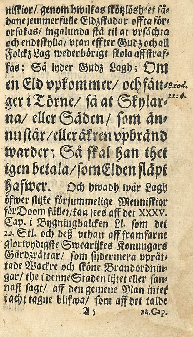 nistior/ genom hwilkas ssdanemmerfulle Eldzssadar offtaförorsakas/ ingalunda sta til at vrstlchta och endtssyua/ vtan effter GudzochaU Folckz Lag wederbörlgt stolaaffstrasfas: Sa lyder Gudz Lagh; OM