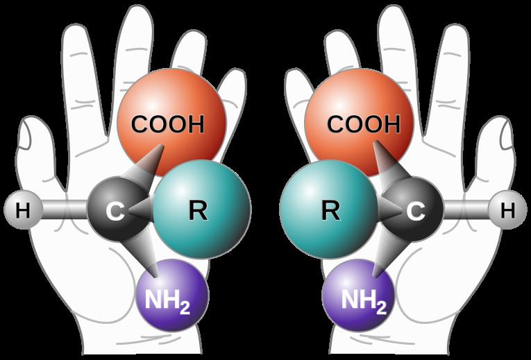 ü För att en kemisk förening ska förekomma i olika enantiomerer (optiska isomerer) krävs det att det finns minst en asymmetrisk atom (kiral atom).