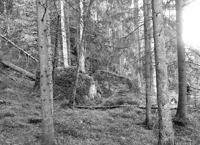 1918 funnit spridda lösfynd av bland annat skafthålsyxor (RAÄ 43 45). Gemensamt för fynden är att de påträffats i odlad och brukad mark belägna öster om planområdet.