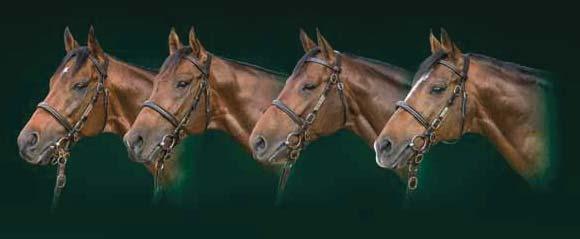 4 TIPS: 3-4-5-2 Bankod 34-1 1730 dt Ca kl 15.05 MARGARETA WETTERMARKS MINNESLÖPNING 500.000 kr 300.000-100.000-60.000-30.000-10.000 Anna Wettermark Thesleffs hederspris till segrande hästens ägare samt täcke till hästen.