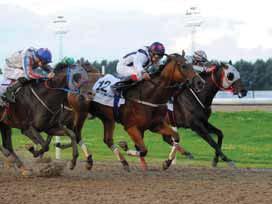 1976 LONG JOHN (DEN) Stutteriet Nippon Carl de Geer Benny Jensen Ole Larsen h Town Boy-Cherina/French Beige 1977 CROSS PURPOSE Simontorp Stuteri Stall PM Einar Jardby Albert Klimscha jr h High