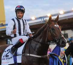 Reppin-Reflected Glory/Relko 1987 LINARDO Stall PM Stall PM Bengt Bengtsson Steve Cauthen h Lido-Linaria/Arjon 1988 SCOOP (DEN) Elo Ervolder A/S Stall Scoop Bengt Bengtsson Serge Vaché s