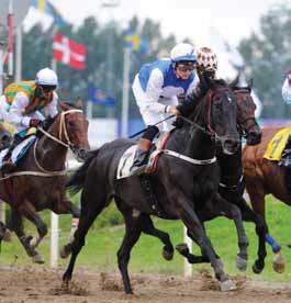 1998 TOP CAT (FR) Stall Robin Hood Arnfinn Lund Manuel Santos 1999 HEAVY LOADED (IRE) St Petersburg Stables Arnfinn Lund Fredrik Johansson 2000 SHAISA (IRE) Meridian Racing Wido Neuroth John Fortune