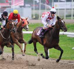 Angel Love Last Interviewer 2005 BE ALERT Stall To Be Patrick Wahl Mark Larsen 2006 ICAROS Stall EOS Wido Neuroth Edward Ahern 2007 GOOD GIRL (DEN) Stald Bakkehave Hanne Bechmann Nicholas Cordrey