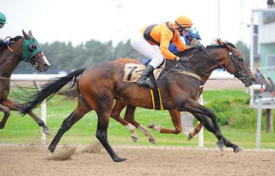 Gråberg 2011 LET SGOFORIT (IRE) Hallencreutz o Wehtje Bodil Hallencreutz Rafael Scbistl 2012 HOLLY MARTINS (GB) The Third Man Hans Adielsson George Baker 2013 PROUD POSSIBILITY (USA) Stall Bonne Nuit