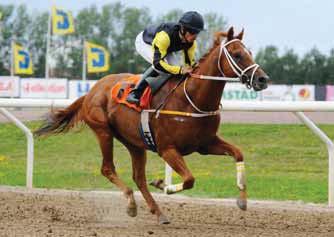 Fredrik Otter presenterar startfälten i storloppen Zawawi Cup (Gr3) Zawawi Cup (Gr3) har en prissumma på en miljon kronor och den skandinaviska sprintereliten har fått sällskap av Kimberella från