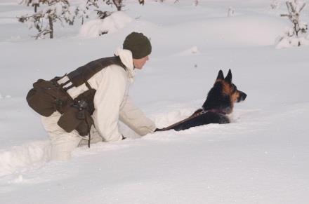 Funktionskontroll Grund 1.1 Patrullering med vind och ljudmarkering 1.2 Påvis med vind- eller ljudmarkering 1.3 Spårupptag med spårarbete i terräng barmark alt vinter 1.4 Skottprov 1.