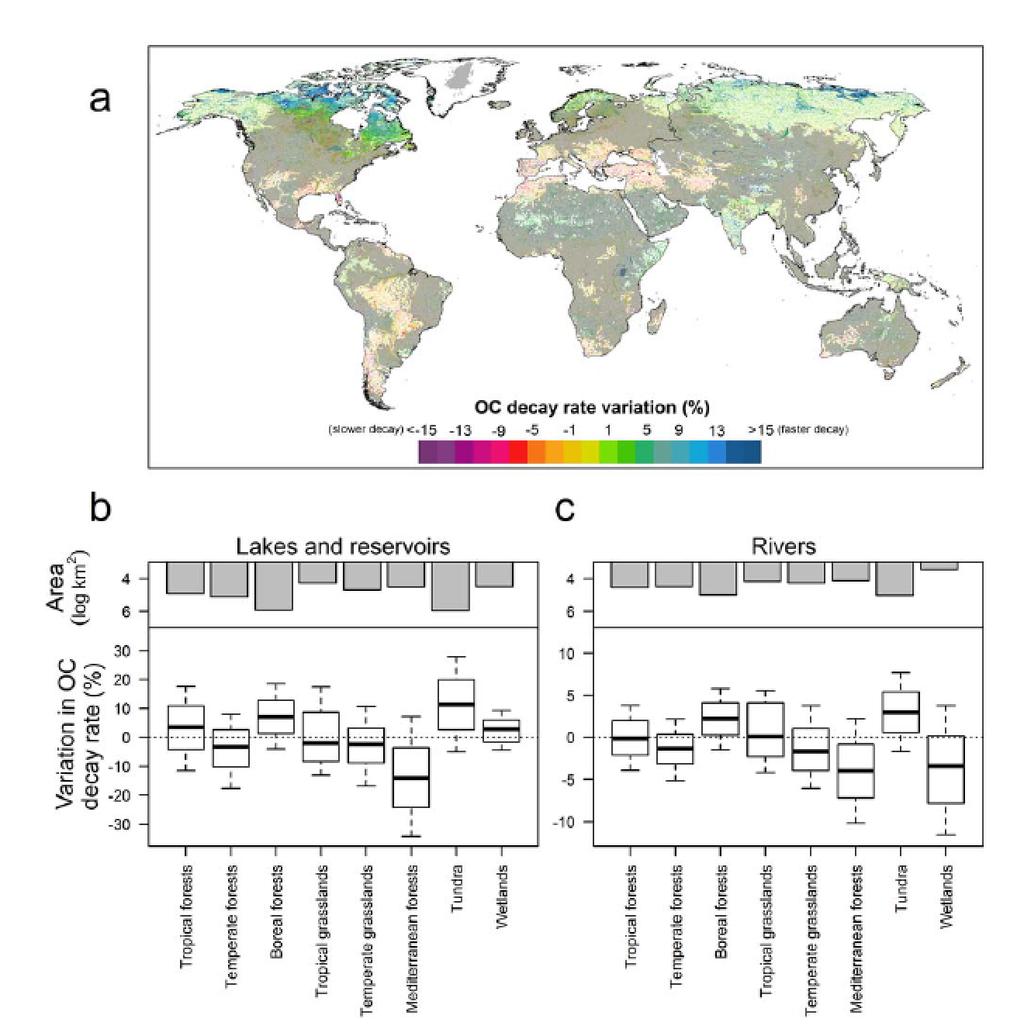 Global distribution of change in C decay rates based on the runoff