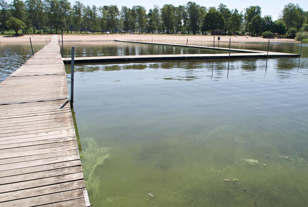 vattenkvalitet. En högre vattenstånd innebär att de fosforrika sedimenten, som täcker 6 % av Finjasjöns botten, får mindre negativ inverkan på vattenmassan än vid ett lågt vattenstånd.
