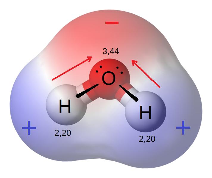 Vattenmolekylen är en dipol Syreatomen är mer elektronega8v jämfört med väte och airaherar därför de gemensamma bindningselektronerna mer än vad resp. väteatom gör.