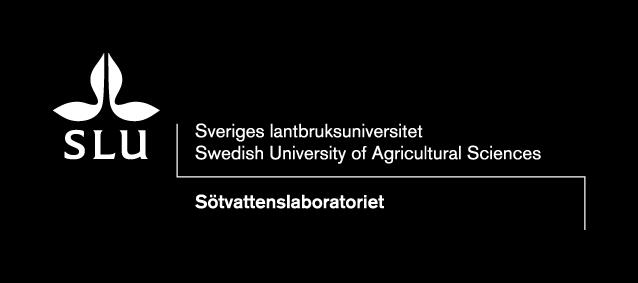 Kerstin Holmgren: Bidrag till Möte om