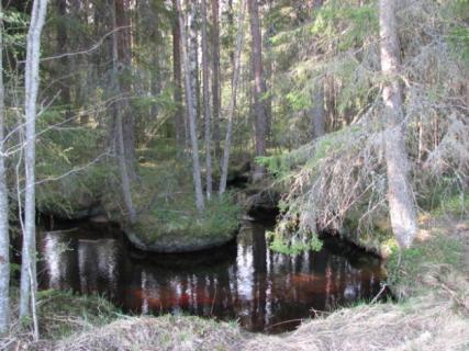 Målsättning: Hänsynsstagande till vattenmiljö i skogsbruket Hänsynstagande till vattenmiljön på