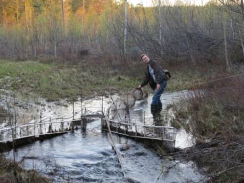 Förvaltning EFTER utförda åtgärder: Projektet är kortvarigt och restaureringen i sig är inte tillräcklig för bestående förbättring av