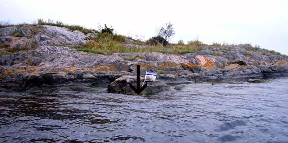 Fältdata Längd Djup Botten Sediment Växter Övrigt 72 5,5 Finsediment 100% 3 Ålgräs 50%, bortsnate 5%, hornsärv +, hårsärv + rödblad +, friliggande kräkel + Blåmussla 10%, röda bakteriefläckar 40 4,5