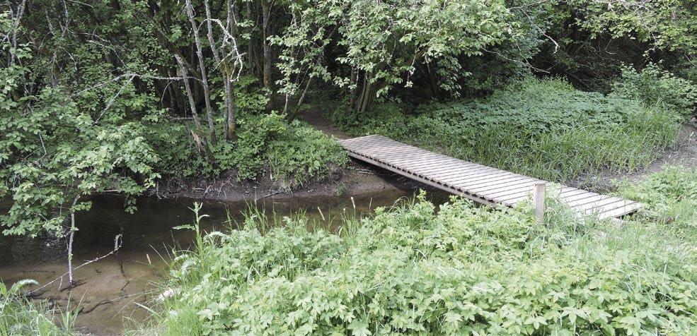 Boplatslägen/aktivitetsytor och ånära lämningar Terräng: Delområde 2 utgör den östra sidan av en ådalgång som sträcker sig norr till söder.