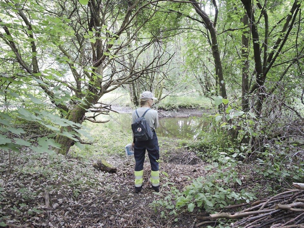 14 Förhistoriska boplatslägen. Inför planprogram i Björnekulla, Partille Figur 10. Vy över åkröken inom delområde 3. Bilden är taget mot söder. Foto: Johannes Nieminen. Delområde 3.