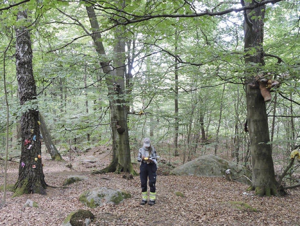 20 Förhistoriska boplatslägen. Inför planprogram i Björnekulla, Partille Figur 17. Översiktsbild över delar av delområde 9 mot sydöst. Foto: Johannes Nieminen. Delområde 9.