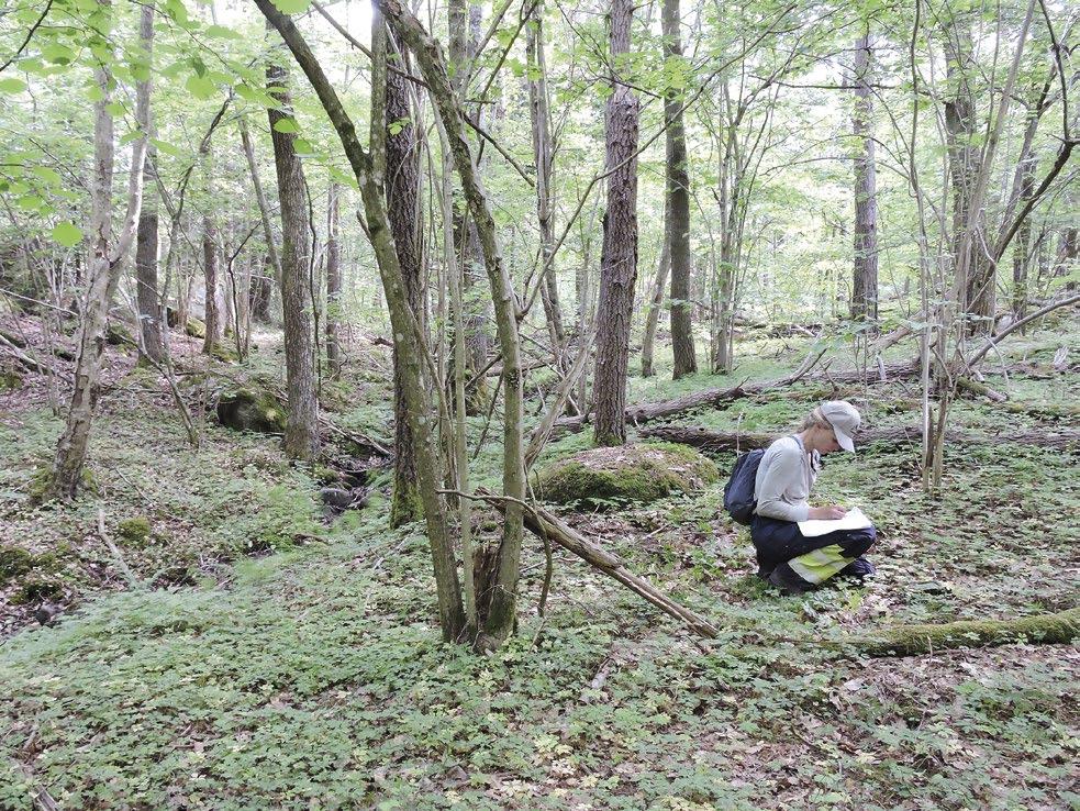 Förhistoriska boplatslägen. Inför planprogram i Björnekulla, Partille 21 Figur 18. Översiktfoto över delar av delområde 10 mot öster. Foto: Johannes Nieminen.
