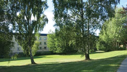 26. ASPVIRKET /2,5 ha ATURPARK/ FRILUFTSOMRÅDE Lesseboväg Skönviksväg Lugnt och rofyllt stråk som erbjuder vardagsnära natur. Entrén från Lesseboväg är tydlig.