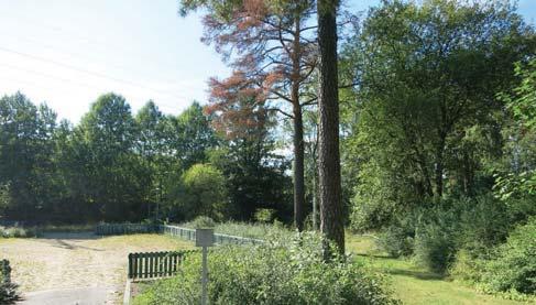 29. MAJROSSKOGE & PAPPHYLSA lekplats vid Götaforsväg Mölndalsback /3,9 ha (hela skog 150 ha) ATURPARK/ FRILUFTSOMRÅDE Papphylsan Ingår i habitatnätverk för barrskogslevande arter samt för groddjur.