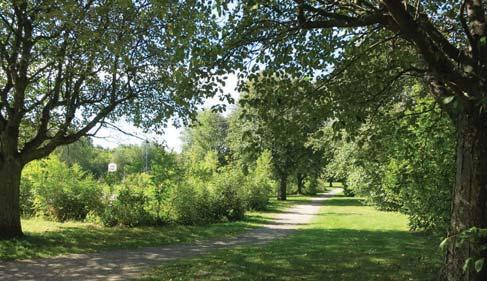 orra del av stråket ingår i habitatnätverk för eklevande arter och södra del ingår i habitatnätverk för barrskogslevande arter. Hela stråket ingår i habitatnätverk för groddjur.