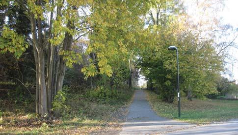 17. SVEDMYRASKOGE /12,5 ha ATURPARK/ FRILUFTSOMRÅDE Handelsväg Stockholmssväg Sockväg Svampväg Svedmyraskog har ett attraktivt bostadsnära läge och ett stort upptagningsområde.