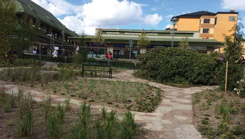 19. SADSBORGS PEREPARK FICKPARK PARKTORG Stora gungans väg T Sandsborg Dals ctrum Dals allé Park är ctralt placerad och är ett vackert blickfång för förbipasserande.