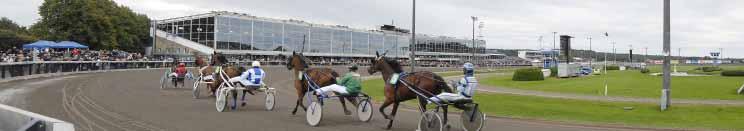 Travexpertens tips Öppna och spelvänliga lopp! Bygdetrav, poänglopp och ponnytrav. Ja trots att det har varit två veckors semesterledighet här på banan så har aktiviteterna varit många ändå.