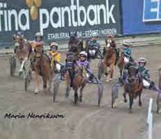 Pony Reiten Pony Reiten am Tingsryd Resort 1 Juli - 13 August. Tingsryd Pferd & Sportanlage www.tingsrydtravet.