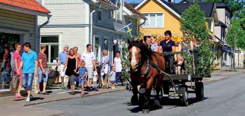 In Tingsryd findet man attraktive Autohäuser sowie Carlqvist Bil AB mit über 700 Autos im Lager, Liljas Bil und Autoverkstaden.