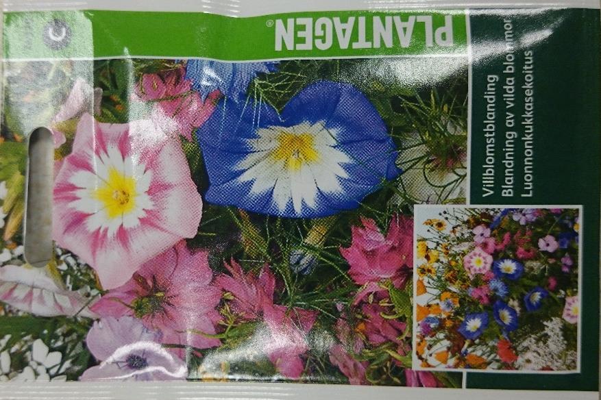 Vildblomsblandning 74920 Varumärke: Plantagen EAN: 8711117749202 Härlig mix av vilda blommor. Attraherar fjärilar och bin. Höjd: 20-100cm. Blanda fröna med gräsfrö för ännu vildare känsla.