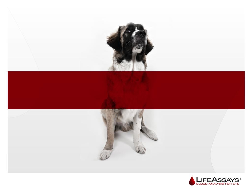 LifeAssays idag - ett Point Of Care