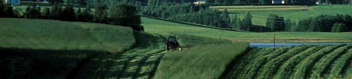 Den är också bra för odlingslandskapets vilda djur och växter. Figure 4. Grass production is in many ways an optimal land use in our part of the world.