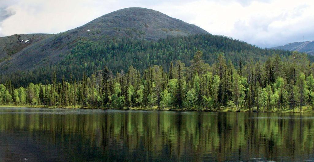 JORD- OCH SKOGS- BRUKSMINISTERIET RIKSDAGEN STYRELSEN GENERALDIREKTÖREN MILJÖMINISTERIET Skogsbruk Affärsportföljen Naturtjänster FORSTSTYRELSENS STYRELSE 1.4.2005 31