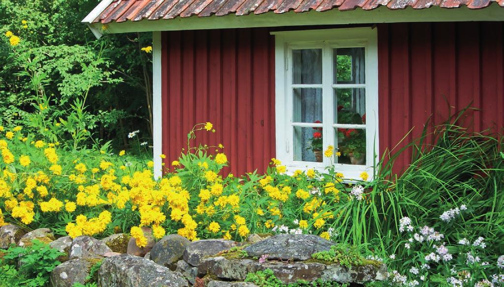 Familjerally för ex. varje onsdag! Årgång 28 Nr 23. Barn är Korpskogens Bed & Breakfastt i tält på Norra Öland