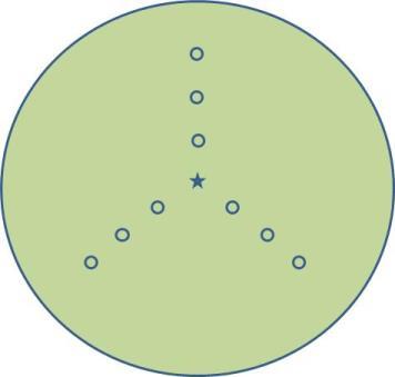 4.4.2. Cirkelprovytor inom gräsmarkspolygoner Utlägget av cirkelprovytor baseras på karteringen av gräsmarkspolygoner i flygbilder.