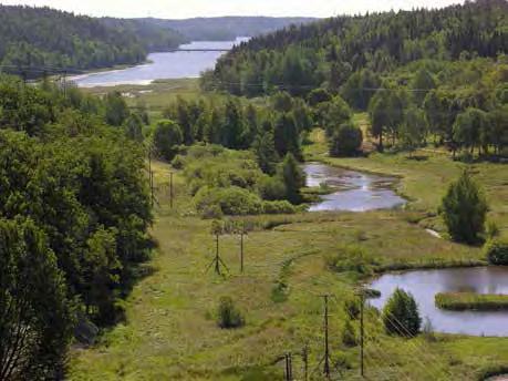 Långsjön (SE656018-162772) har god ekologisk och god kemisk* status. Den rinner via Vitsån (SE655625-163078) ut i Horsfjärden i Östersjön.