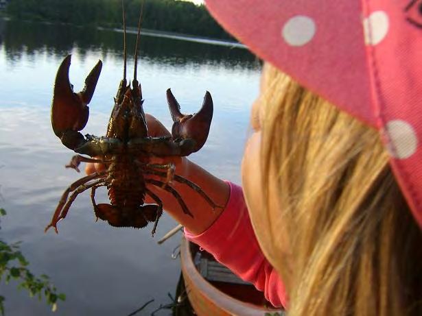 Gladö Kvarnjöns naturreservat Beslut och skötselplan Kommunfullmäktiges beslut 2014-06-09 Kräftfiske i Kvarnsjön.