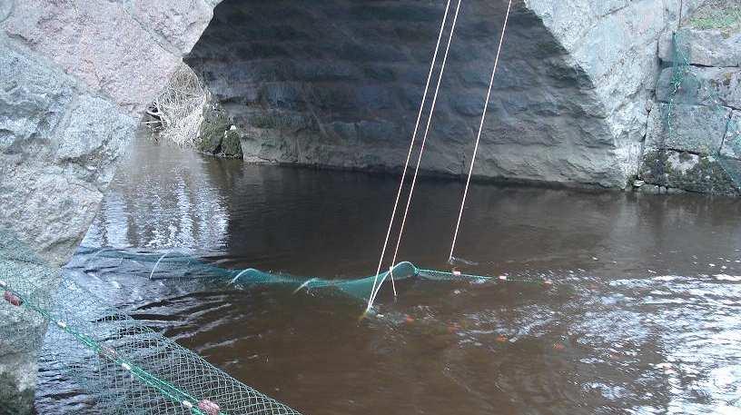 Figur 3. Ryssjan i Jumkilsån placerad vid Broby. Elfiske Elfisket utfördes enligt Fiskeriverkets framtagna standard SS-EN 14011.