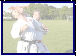 Efter ett samtal till Roslagens Jiujitsuklubb kom jag och Erik fram till att det vore trevligt att ses och kanske träna tillsammans.