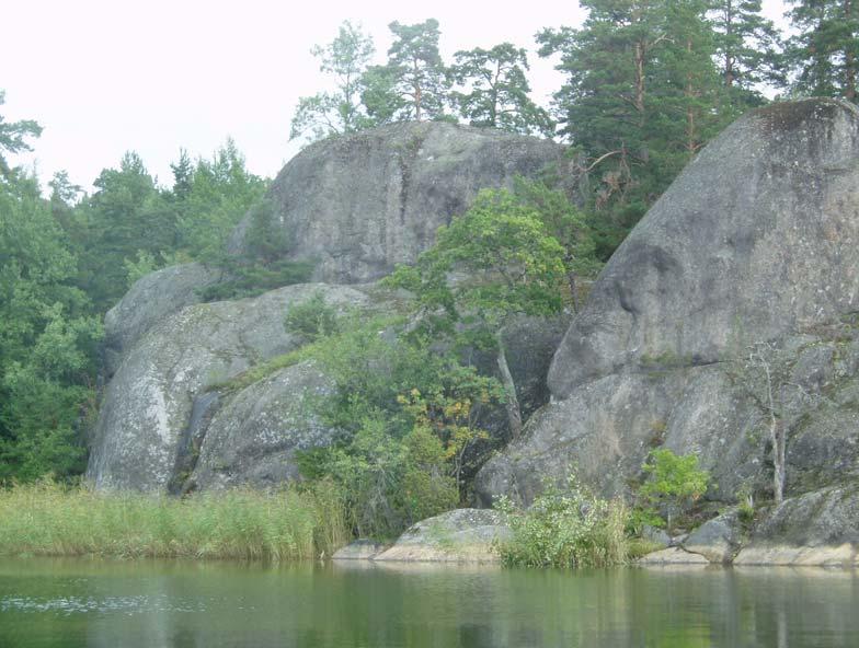 Jämfört med tidigare undersökningar /2,3,4,5/ har kransalgen rödsträfse försvunnit från Boviken. Den var kraftigt tillbakatryckt redan för tio år sedan.