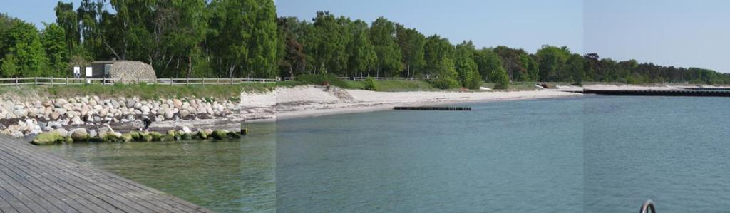 Figur 6.7 Stranden vid Ystad Sandskog före fodringen år 2011. Figur 6.8 Samma strand som ovan, ett år efter fodringen.