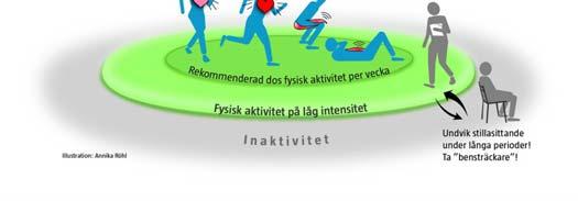HUR FYSISKT AKTIV BEHÖVER MAN VARA?