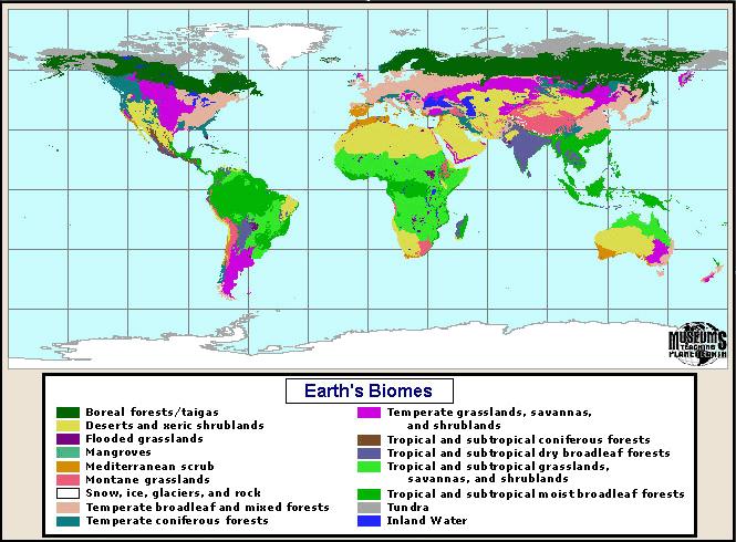 Globala värdet av ekosystemtjänster Constanza et al, 2014
