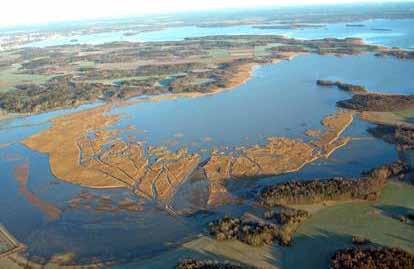 Askövikens naturreservat, Mälaren. Foto: Niclas Bergius Limfjorden i Danmark hade fram till 1800-talets första hälft förbindelse med havet endast i öster, och hade därmed lägre salthalt än havet.