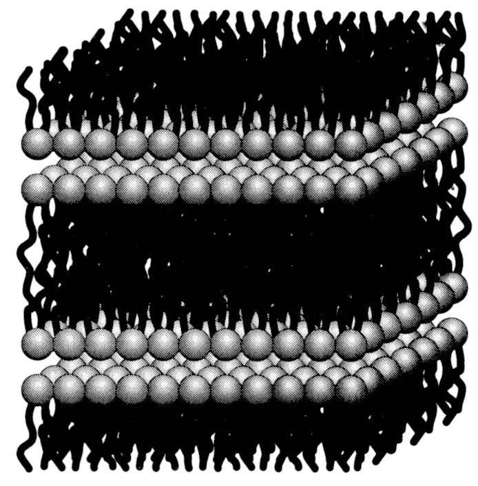 Cylindric micelles 1/3 1/2 Bicontinuous ( sponge ) phases CPP > ~1 Vesicles 1/2-1 Inverted