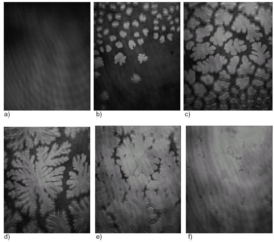 BAM in practice Biological membranes A bilayer membrane consists of a lipid bilayer with adsorbed or trans membrane proteins, carbohydrates,