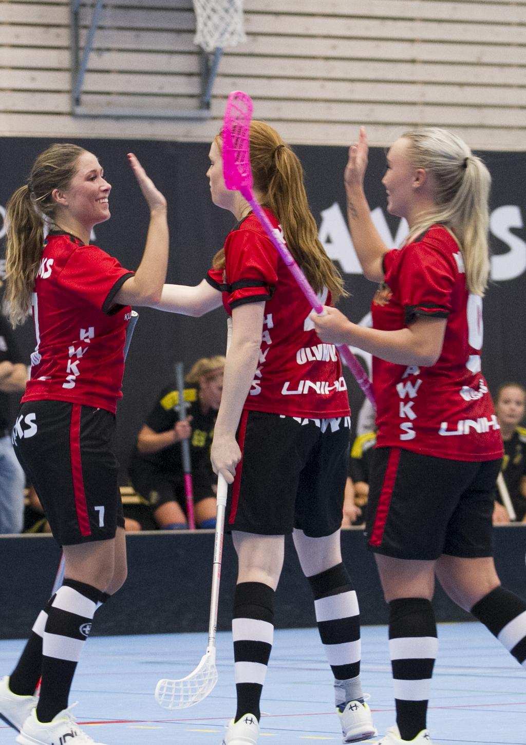 MATCHPROGRAM Hässelby DAM 2017/2018 Foto: