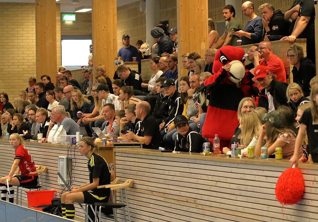 Foto: Johan Folke